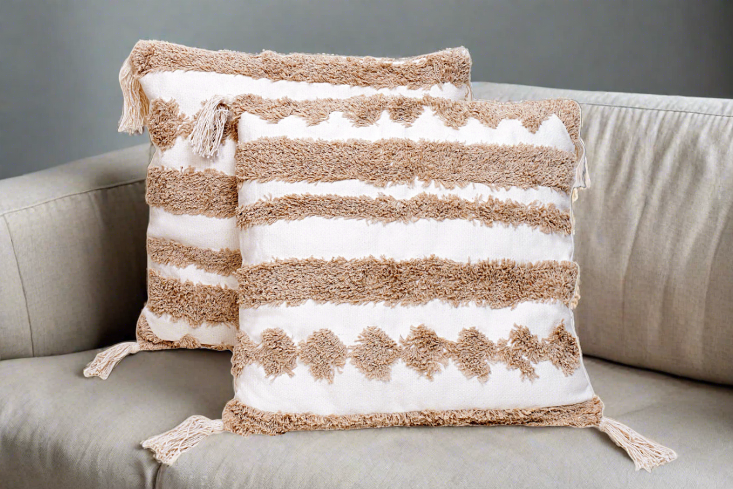 Cushion cover (Set Of 2)