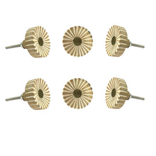 Carregar imagem no visualizador da galeria, Siena white wooden knob ( set of 6 )