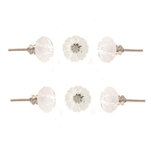 Load image into Gallery viewer, Set of six clear cut tomato knob