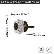 Charger l'image dans la galerie, Set of 6 Small Clear Melon knob