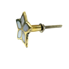 Load image into Gallery viewer, Set of 6 Jiya Mother of Pearl Knob - Perilla Home