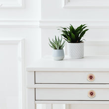 Load image into Gallery viewer, Marrakesh Ceramic Knob Pink ( Set Of 6 )