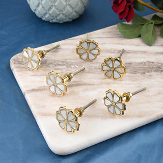 Set of 6 Eva Mother of Pearl knob