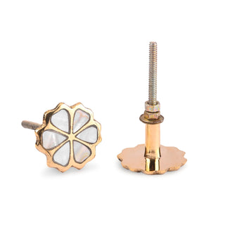 Set of 6 Eva Mother of Pearl knob