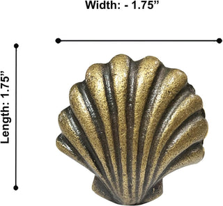 Beach Shell Metal Knob ( set of 6 )