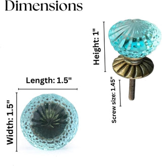 Cassandra Cabinet Knobs Set of 6 Turquoise