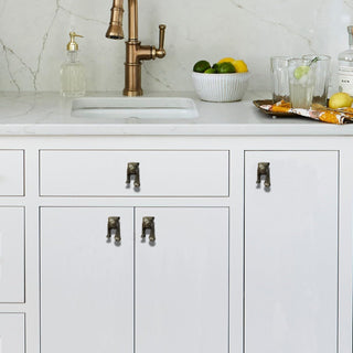 Leopard Metal Knob ( set of 6 )