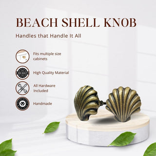 Beach Shell Metal Knob ( set of 6 )