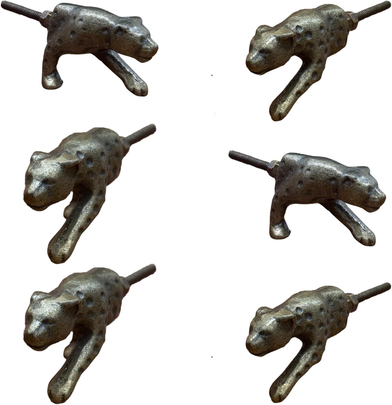 Leopard Metal Knob ( set of 6 )