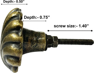 Beach Shell Metal Knob ( set of 6 )