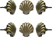 Load image into Gallery viewer, Beach Shell Metal Knob ( set of 6 )
