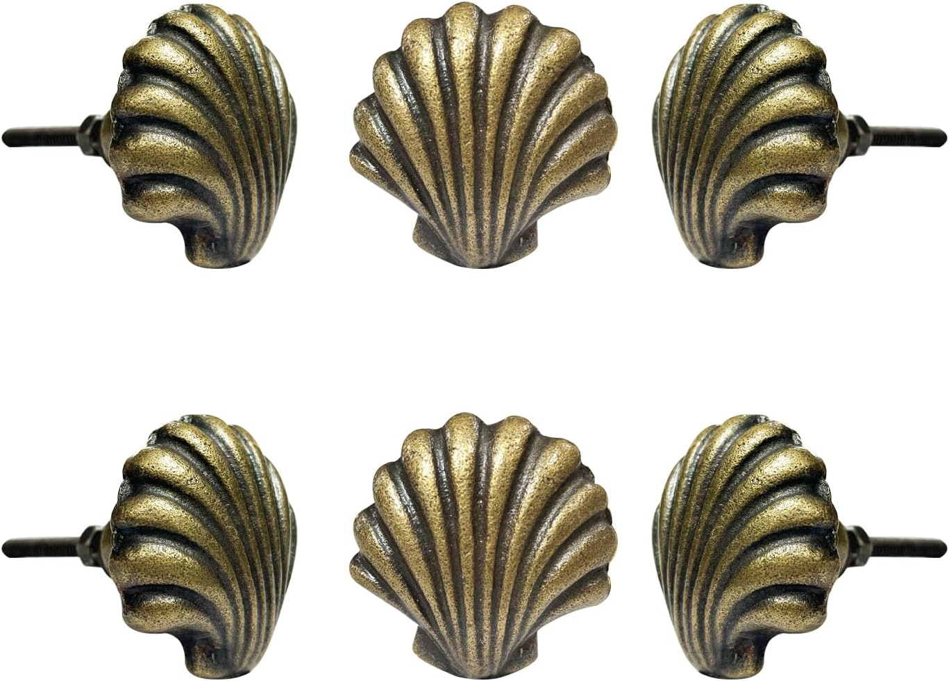 Beach Shell Metal Knob ( set of 6 )