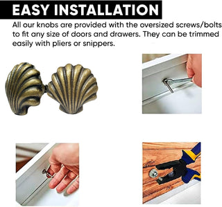 Beach Shell Metal Knob ( set of 6 )