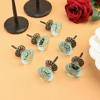 Cassandra Cabinet Knobs Set of 6 Turquoise