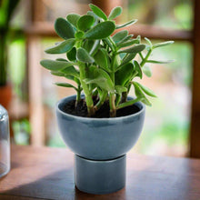 Load image into Gallery viewer, Blue Planter Pot ( 2 piece )
