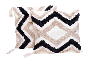 Cushion cover (Set Of 2)