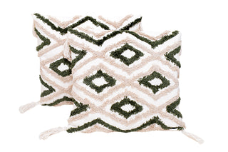 Cushion cover (Set Of 2)