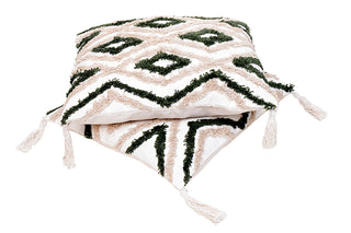 Cushion cover (Set Of 2)