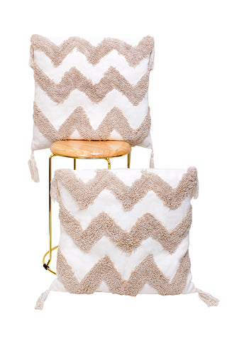 Cushion cover (Set Of 2)