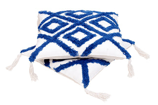 Cushion cover (Set Of 2)