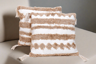 Cushion cover (Set Of 2)