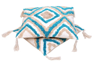 Cushion cover (Set Of 2)