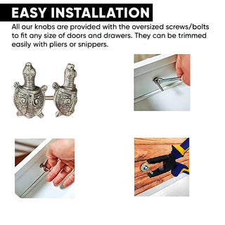 Metal Tortoise knob ( set of 6 )