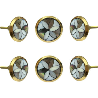 Petal Mop Brass Knobs (Set of 6)
