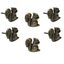 Load image into Gallery viewer, Squirrel Metal knob ( set of 6)
