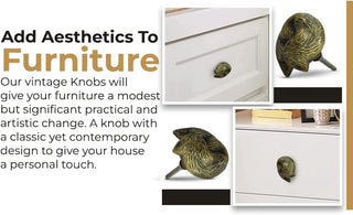 Set Of Six Sleeping Fox Brass Knob