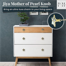 Cargar imagen en el visor de la galería, Set of 6 Jiya Mother of Pearl Knob
