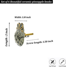 Carregar imagem no visualizador da galeria, Pineapple Ceramic Knob (Set Of 6)
