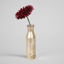 Cargar imagen en el visor de la galería, Perilla home Pikota flower vase ( set of 2 )
