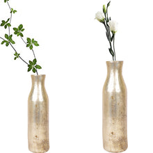 Load image into Gallery viewer, Perilla home Pikota flower vase ( set of 2 )
