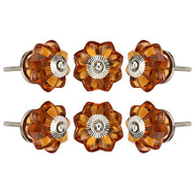 Carregar imagem no visualizador da galeria, Set Of Six amber Glass Melon Knobs ( chrome)
