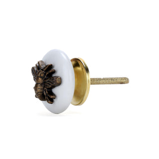 Insect Ceramic Knob (Set Of 6) - Perilla Home