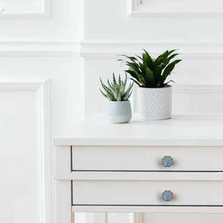 Begonia Ceramic Knob ( Set Of 6 )