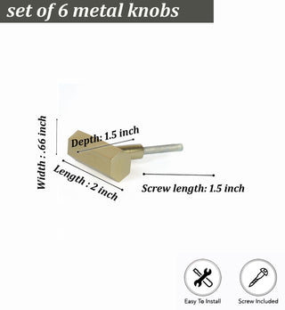 Golden Catania metal knobs (set of 6 )