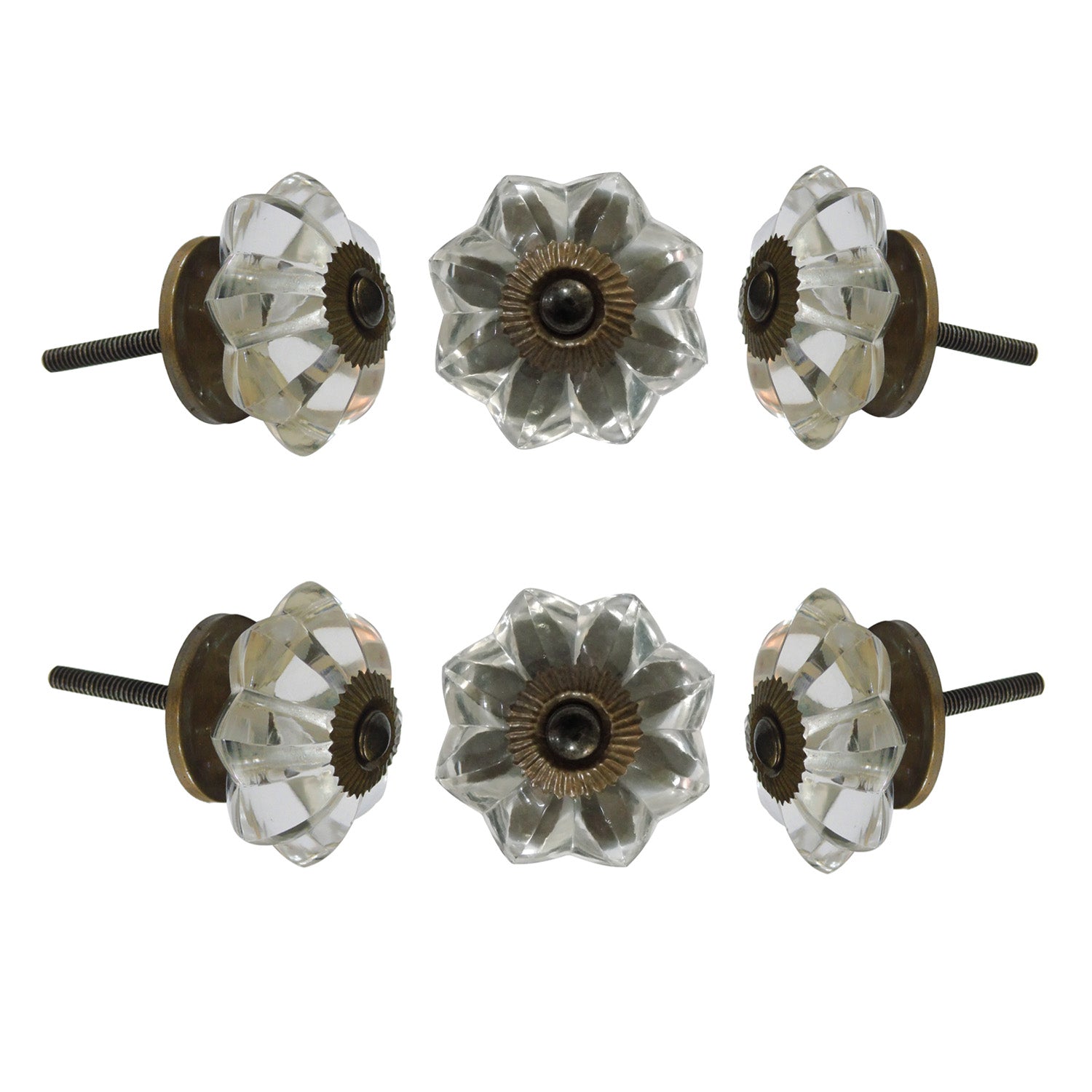 vintage dresser knobs Melon 1.57" Length Novelty Knob Multipack Perilla Home Clear/Bronze 1.57" H x 1.57" W
