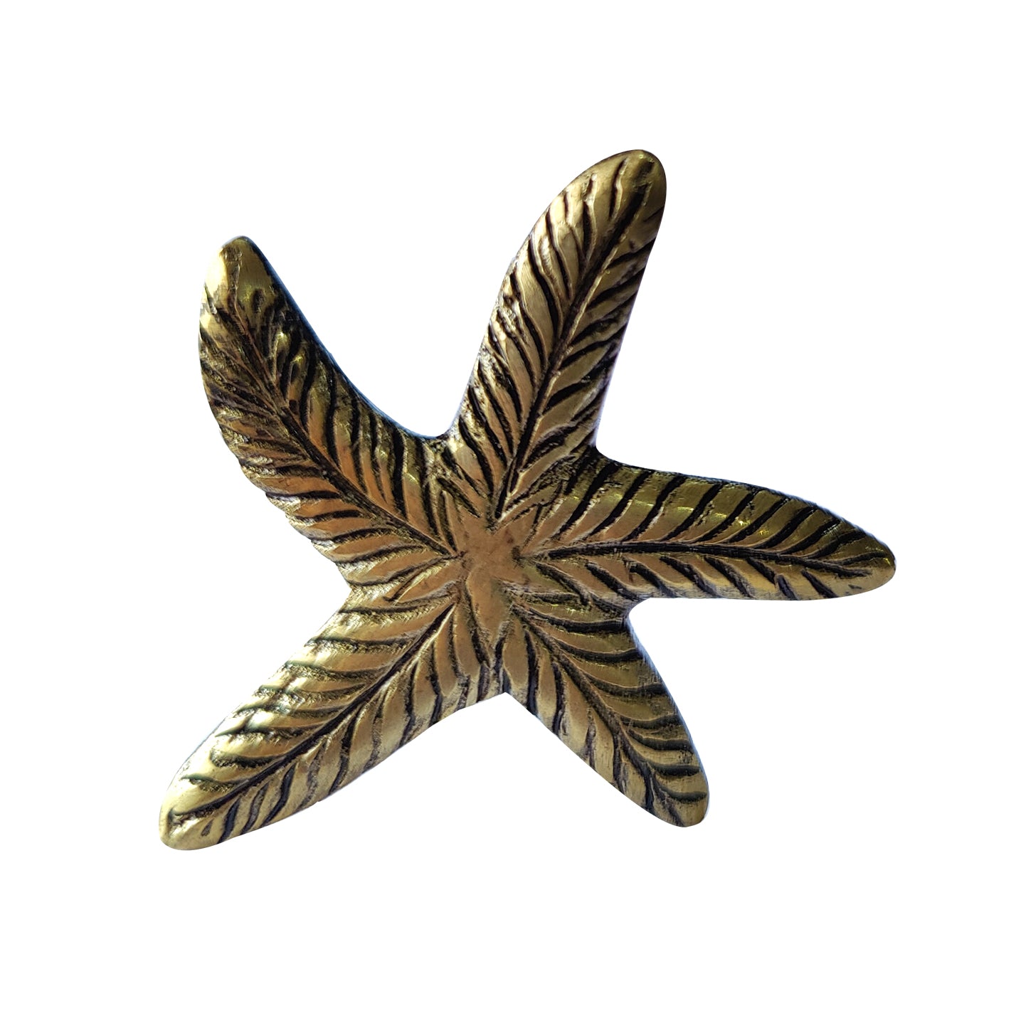 Set of 6 Gold Starfish Knob