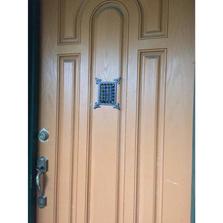 Cast Iron Grill & Grill With Viewing Door