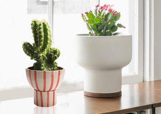 Red striped planter round ( 2 piece ) - Perilla Home