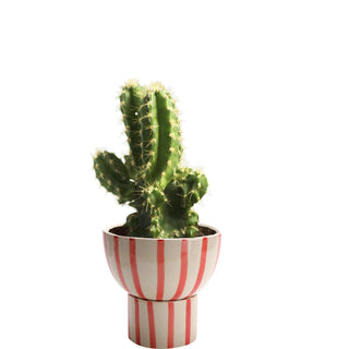 Red striped planter round ( 2 piece ) - Perilla Home