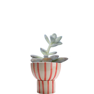 Red striped planter round ( 2 piece ) - Perilla Home