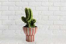 Load image into Gallery viewer, Red striped planter round ( 2 piece ) - Perilla Home
