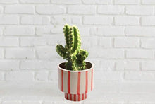Carica l&#39;immagine nel visualizzatore di Gallery, Red Striped Planter Pot ( 2 piece ) - Perilla Home
