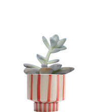 Cargar imagen en el visor de la galería, Red Striped Planter Pot ( 2 piece ) - Perilla Home
